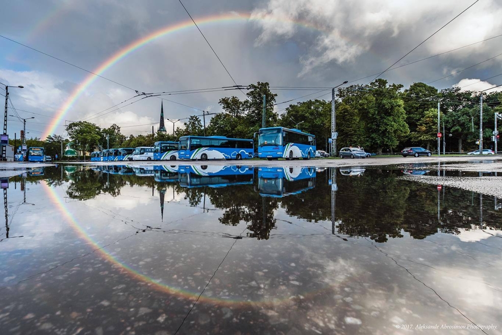 bussid.jpg